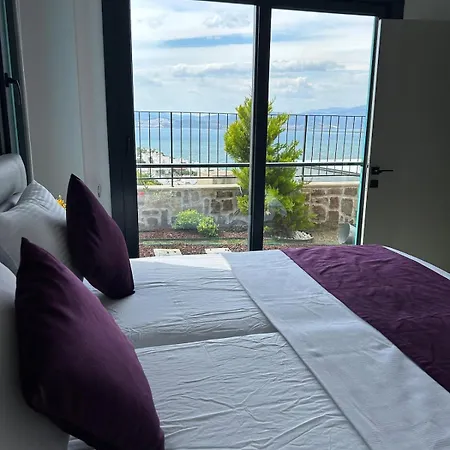 Turquoise With Jacuzzi And Private Pool Villa Milas