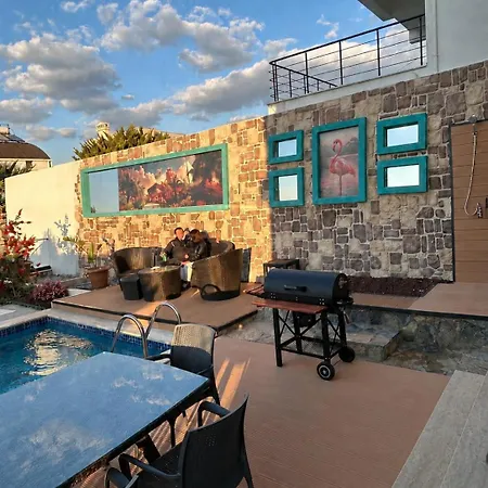 Turquoise With Jacuzzi And Private Pool Villa Milas
